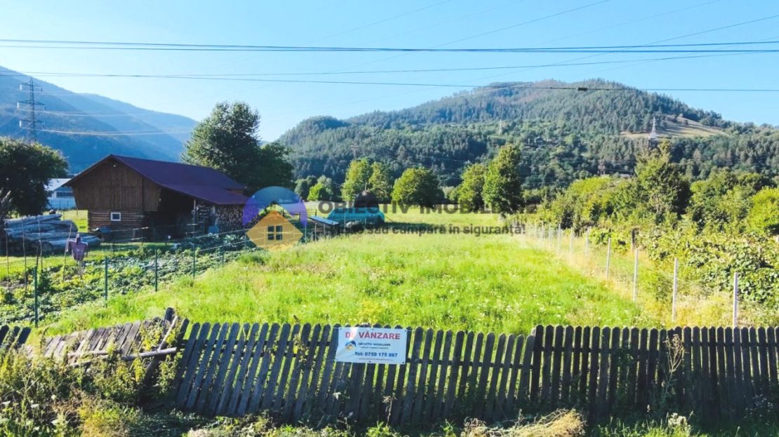 video image