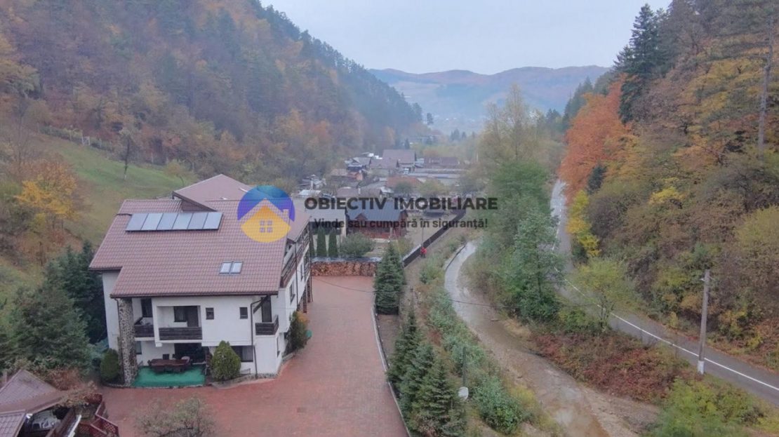 video image