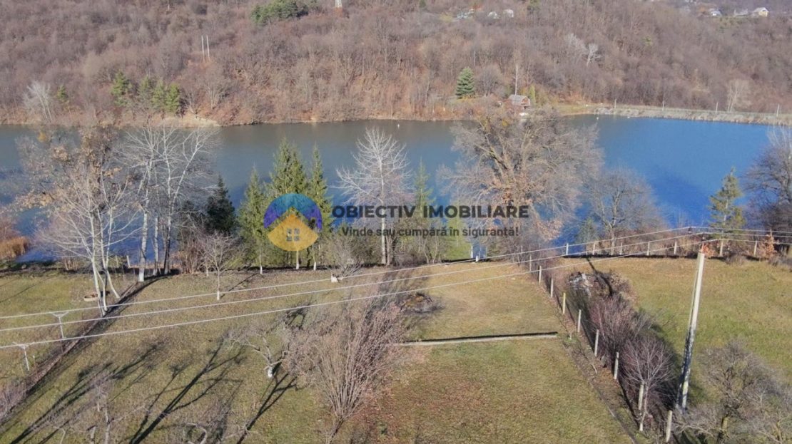 video image