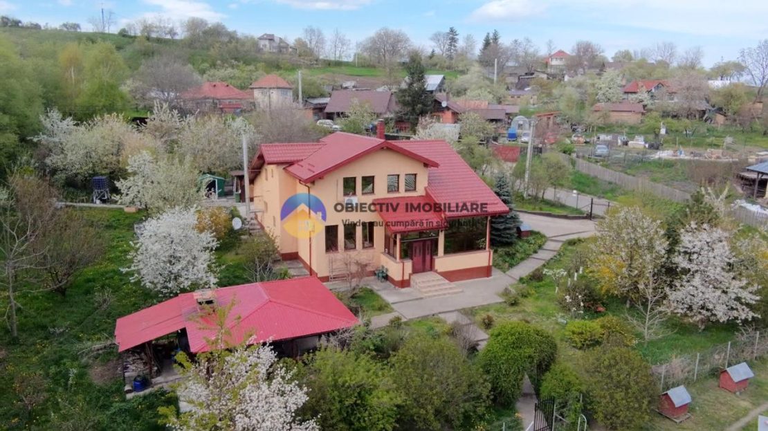video image
