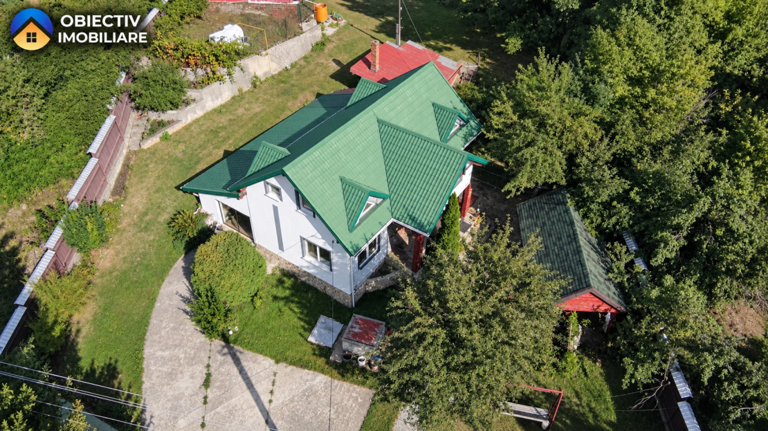 video image