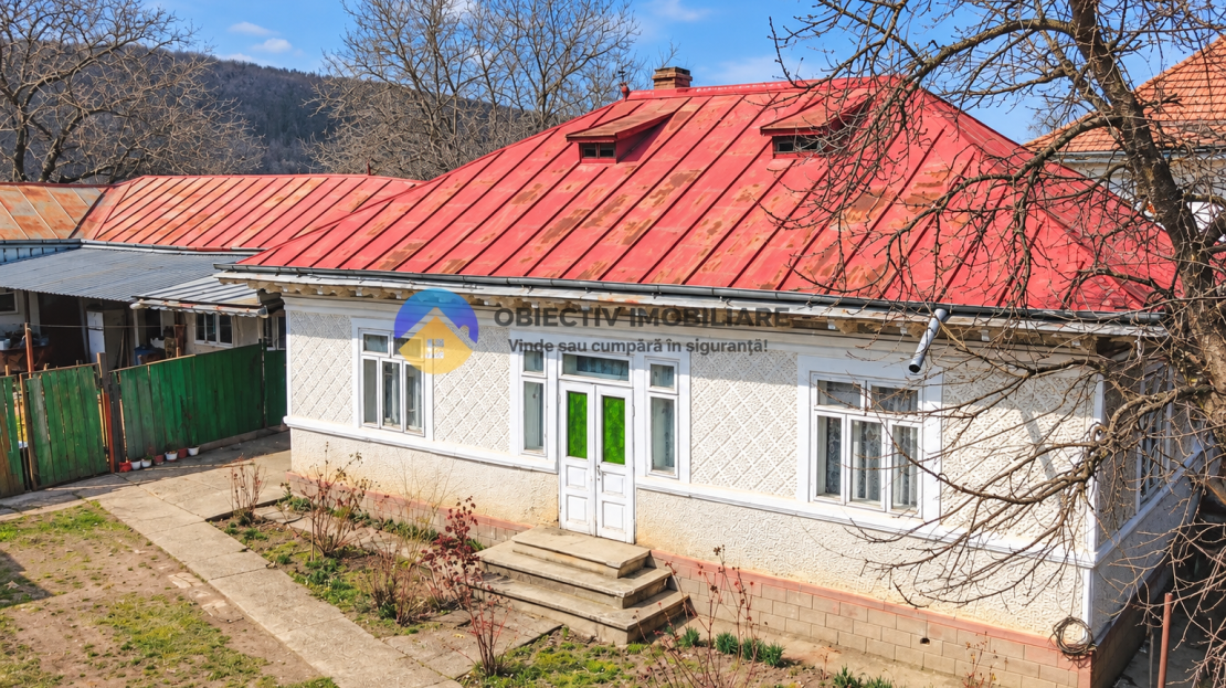 video image